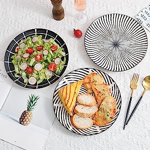 Ceramic  Plate Sets of 6, Round Salad Plates Fit Steak Fruit Pasta Pancake, Microwave, Oven, Freezer and Dishwasher Safe