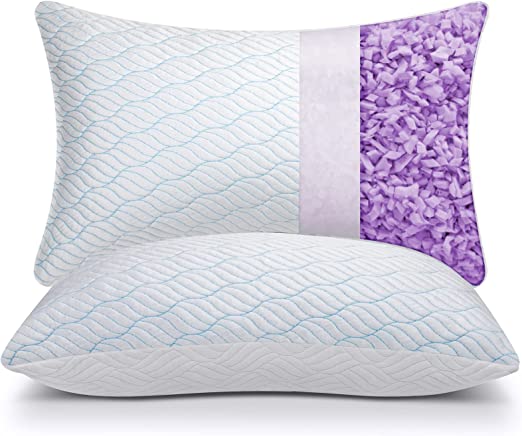 2 Pack, 20x30 Queen Size Set of 2 with Zipper, Hypoallergenic Sleeping Pillows for Neck and Shoulder Pain,