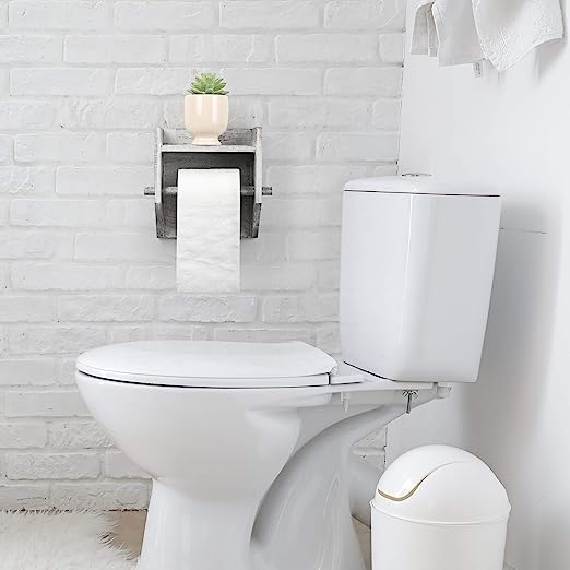 Wall mounted tissue roll holder takes up little space by setting on the wall, making home interior less crowded
