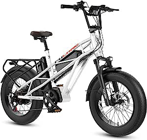 Mountain Electric Bike, Adults,750W Motor & 31MPH Top Speed,20, X 30AH