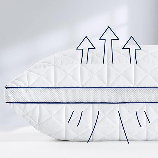 Queen Size 2 Pack, Side Sleeper, Back, Stomach Sleeper