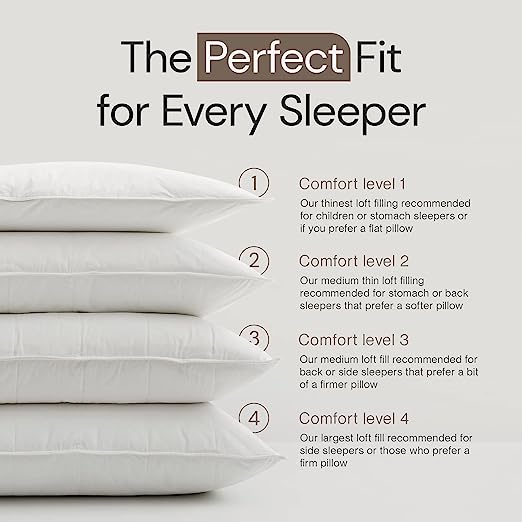 Queen Pillows,  White, Comfort Level 4, 19 x 30 Inches4, anti Allergy