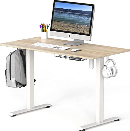 48 x 24 Inches Stand up Table,Height Adjustable Electric Standing Desk