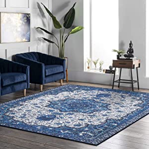 Blue Carpet, A comfy and soft carpet worth having in your warm home bedroom rugs, living room rugs, sitting room decor, conference room rugs etc.