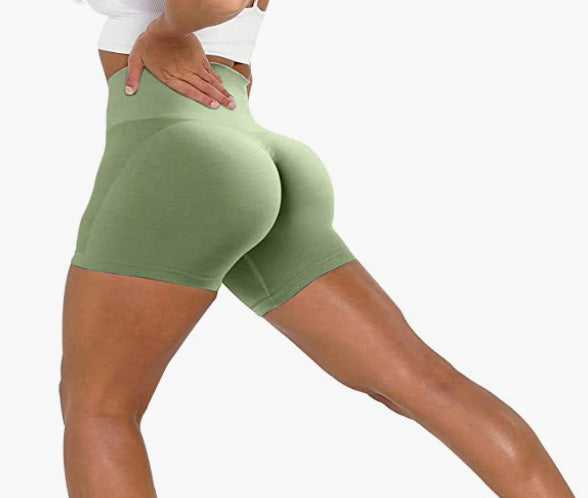 Contour Seamless Workout Shorts for Women High Waist Gym Biker Shorts