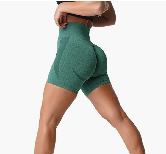 Contour Seamless Workout Shorts for Women High Waist Gym Biker Shorts