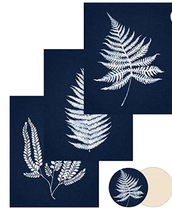 Palm leaves Poster Set of 3 for living room