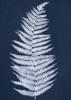 Palm leaves Poster Set of 3 for living room